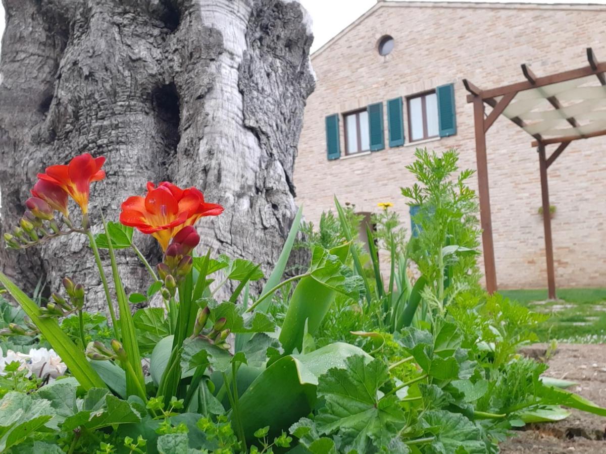 Casale Del Conero Aparthotel Porto Recanati Bagian luar foto